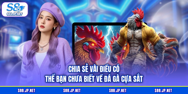 Chia sẻ vài điều có thể bạn chưa biết về đá gà cựa sắt
