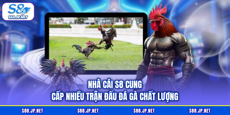 Nhà cái S8 cung cấp nhiều trận đấu đá gà chất lượng Nhà cái S8 cung cấp nhiều trận đấu đá gà chất lượng