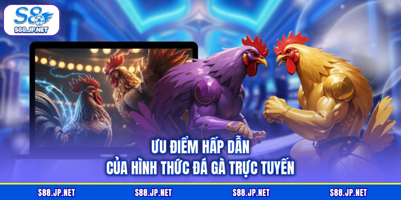 Ưu điểm hấp dẫn của hình thức đá gà trực tuyến Ưu điểm hấp dẫn của hình thức đá gà trực tuyến